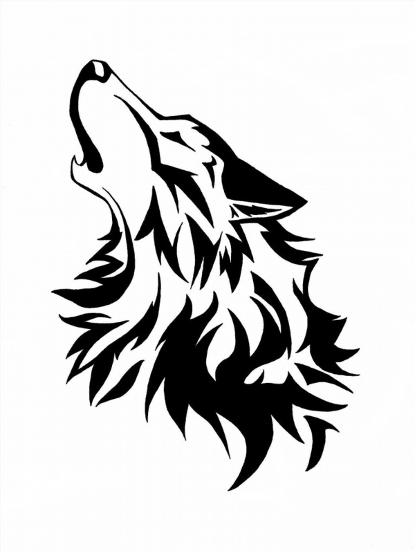 Волк черно белый рисунок