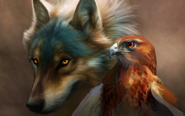 Волк и орел