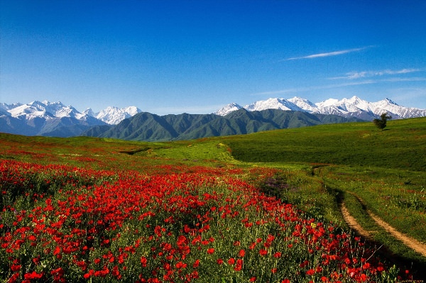 Киргизия и кыргызстан природа