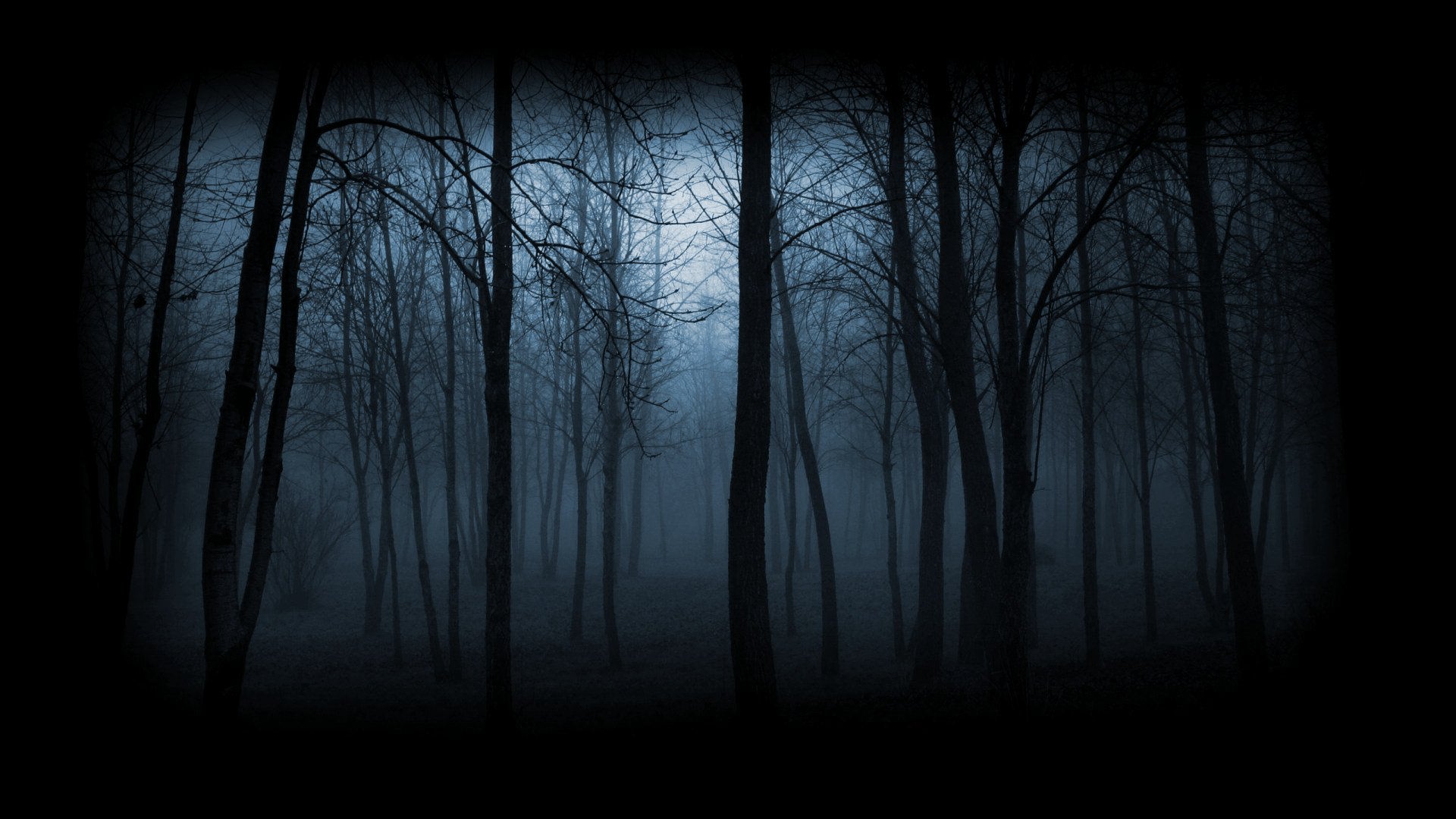 Фото на фон профиля. Мрачный фон. Темный лес. Мистический фон. Мрачный лес.