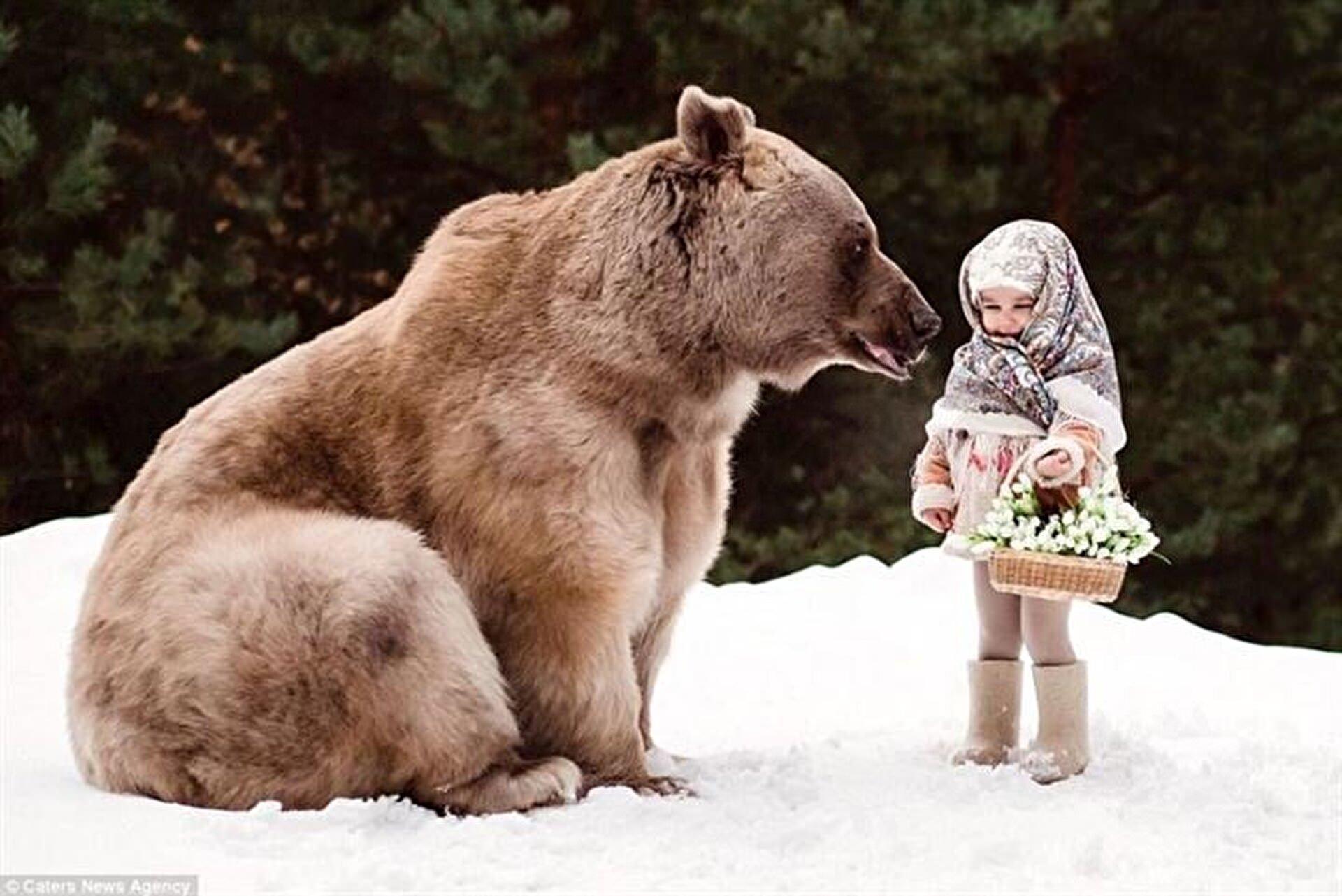 Почему маша дружит с медведем. Девочка и медведь.