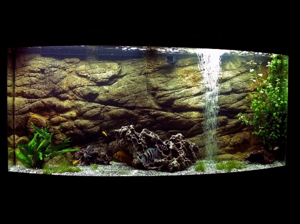 Внутренний фон для аквариума