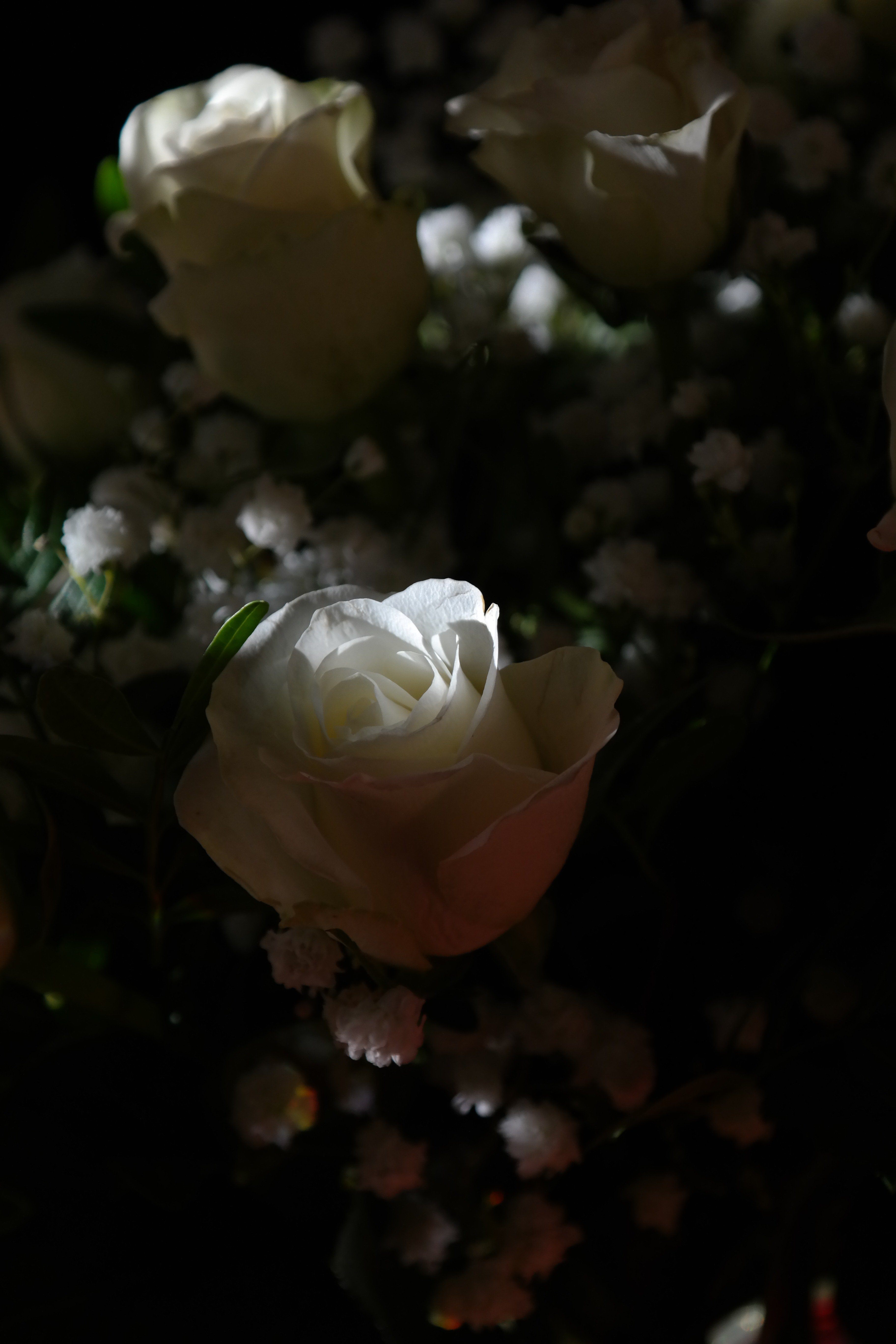 Букет роз ночью. Букет цветов в темноте. Вечерние цветы. Цветы белые розы. Красивые белые розы.