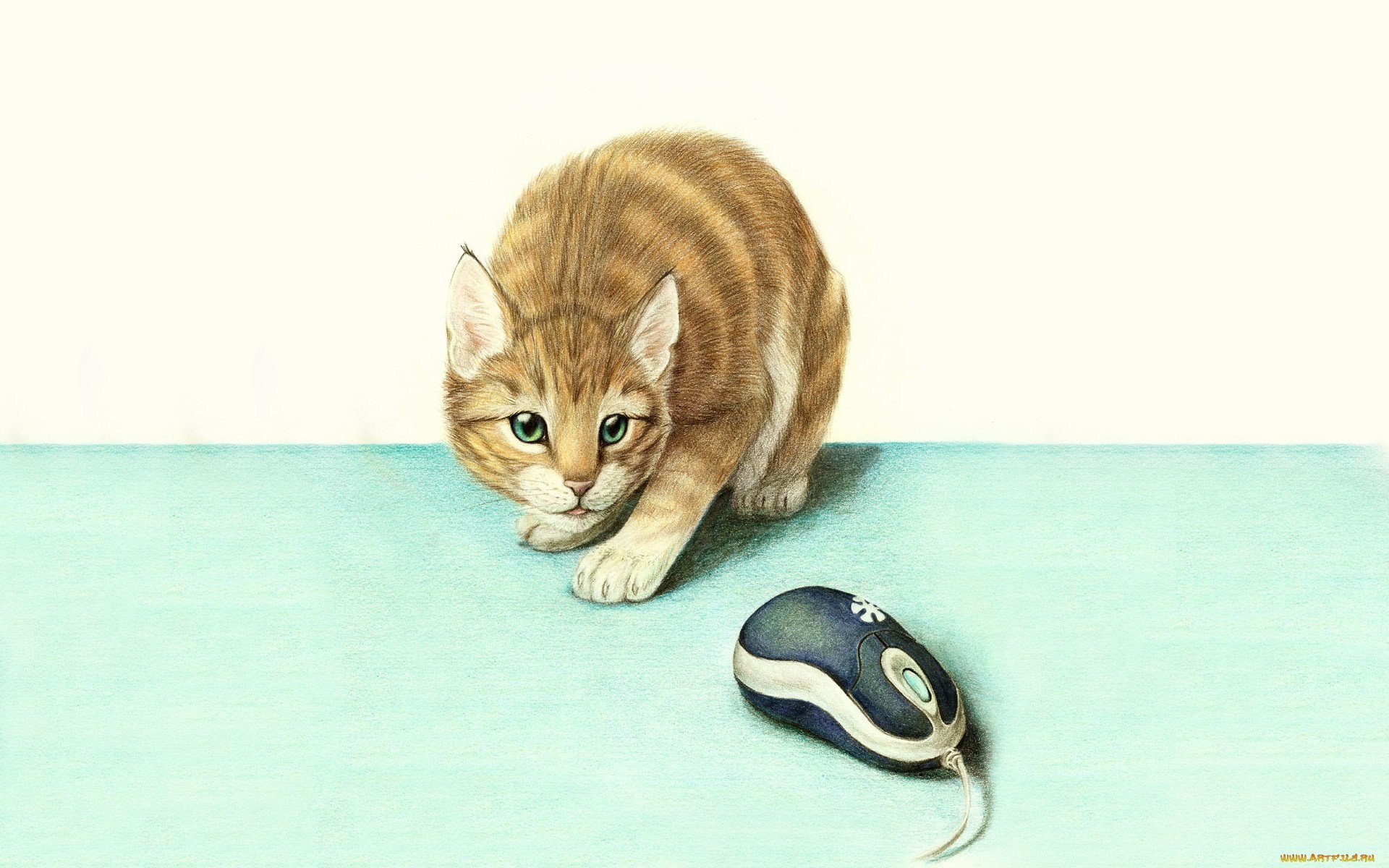 Котенок мышь