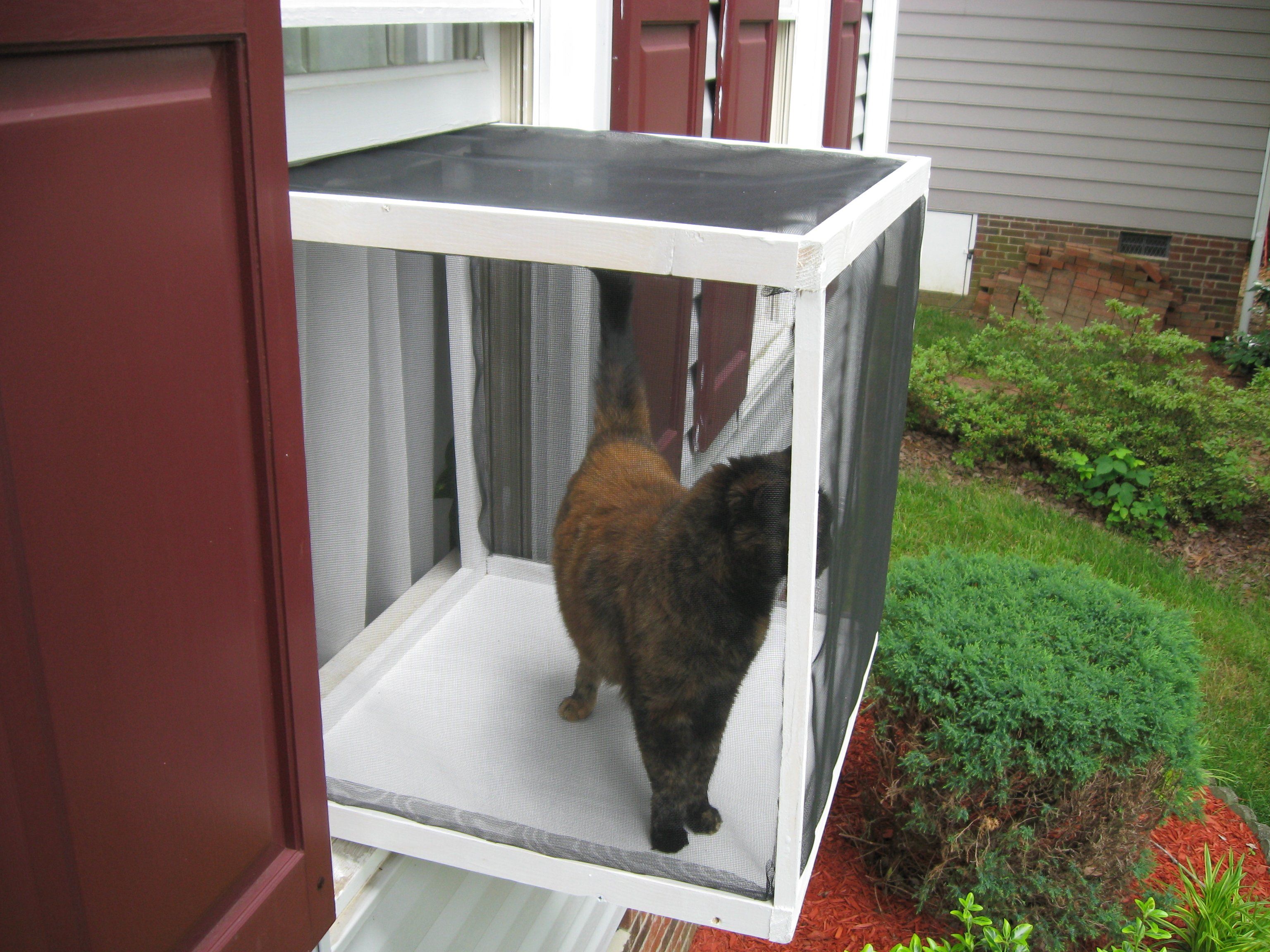 Кошачий балкон. Вольер антикошка. Балкон для кошек на окно. Оконный вольер для кошек. Клетка для кошки на окно кошачий балкон.