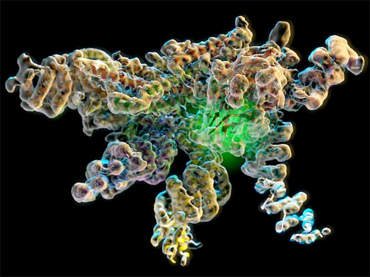 Ферменты сложные белки. Ферменты. Белок под микроскопом. Ферменты под микроскопом. Ферменты молекулярной биологии.