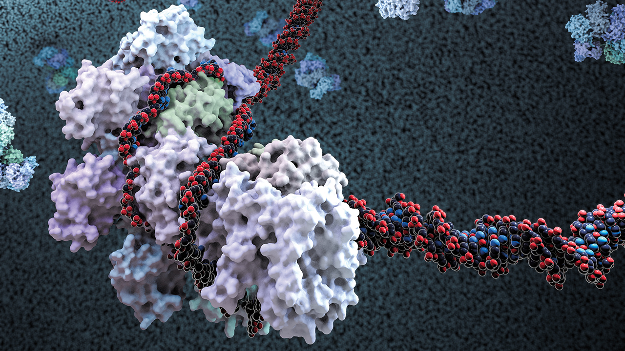 CRISPR Биоинженерия ДНК. Генетические ножницы CRISPR/cas9. Ферменты под микроскопом. Ферменты генной инженерии.