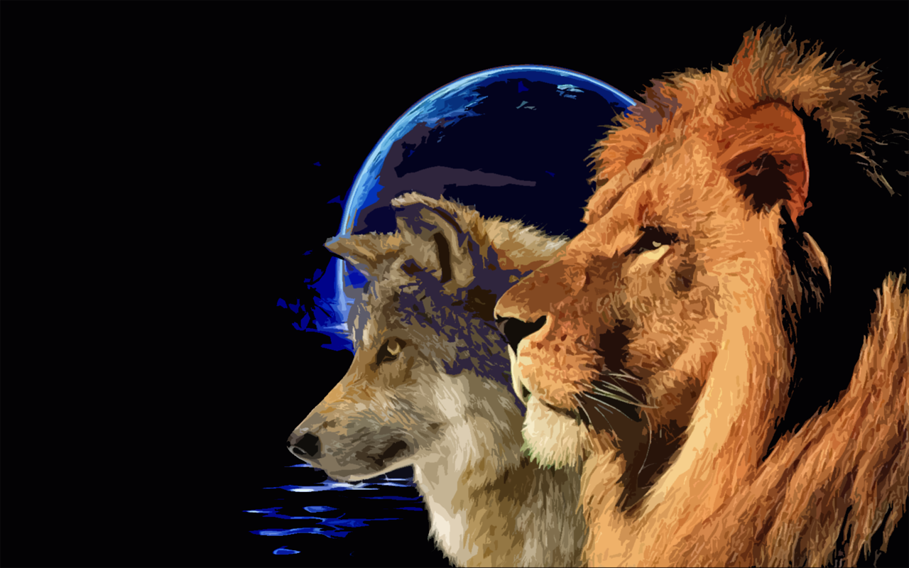 Тигр волк лиса. Волк и Лев 2022. Тигр Лев и волк. Волк и Лев вместе. Волчица и Лев.