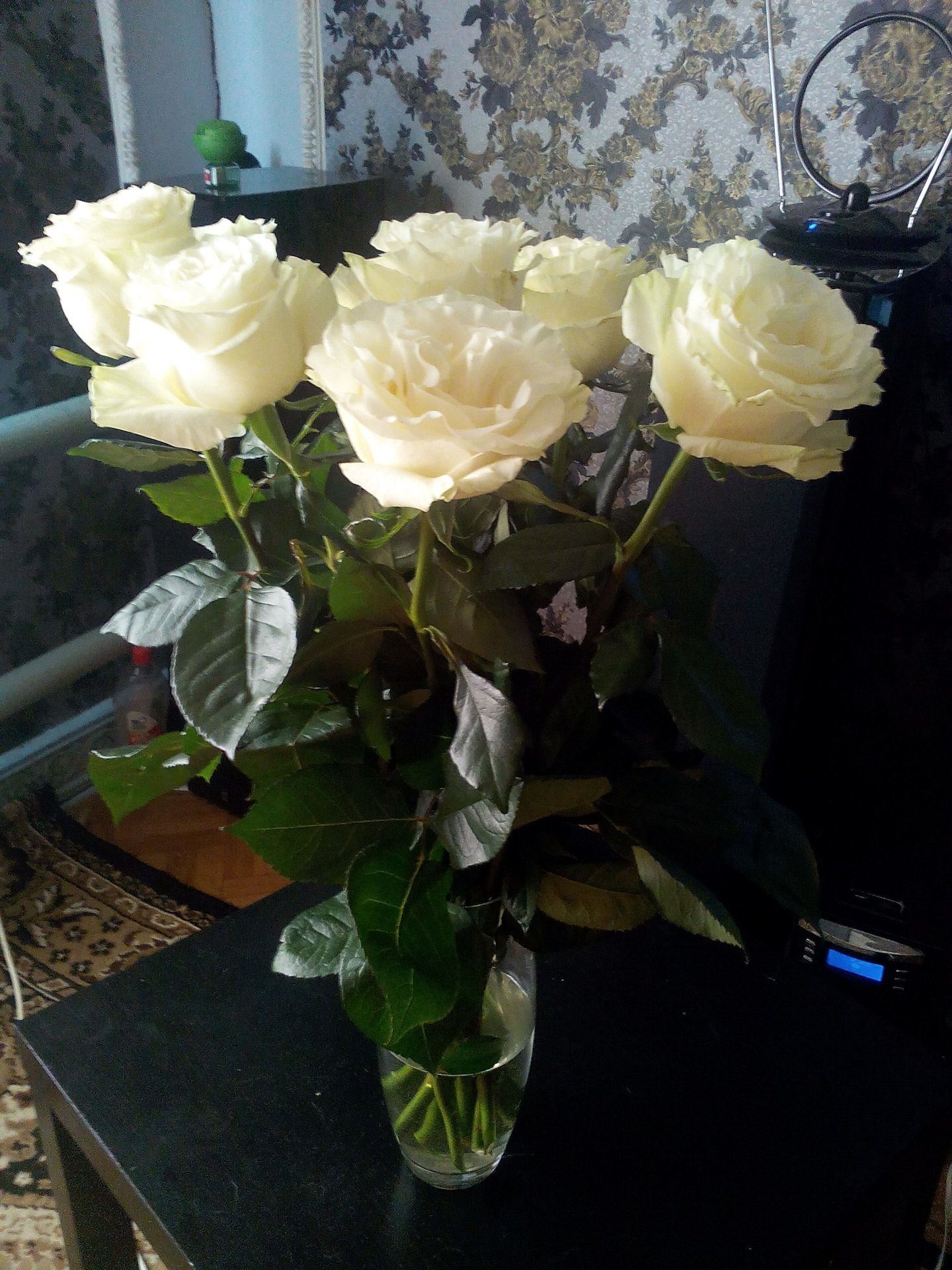 белые розы фотографии дома