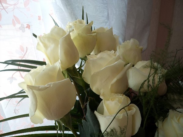 Белые розы дома