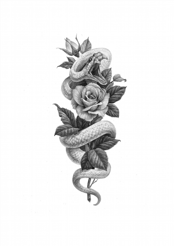 Тату змея с розой