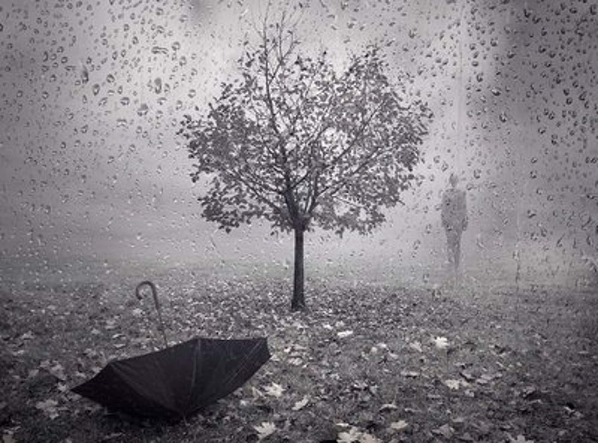 Осеннее состояние души. Серая осень. Серое одиночество. Грустные картинки. Осень одиночество.