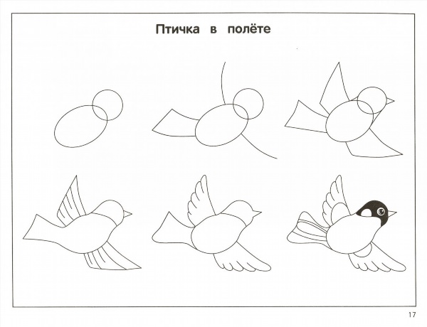 Рисование птицы в подготовительной группе поэтапно