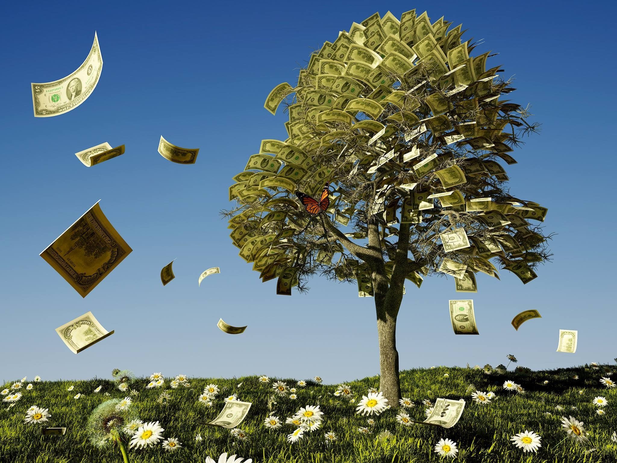 Цветок достатка. Дерево с купюрами. Дерево с деньгами. Денежное дерево с купюрами. Визуализация денег.