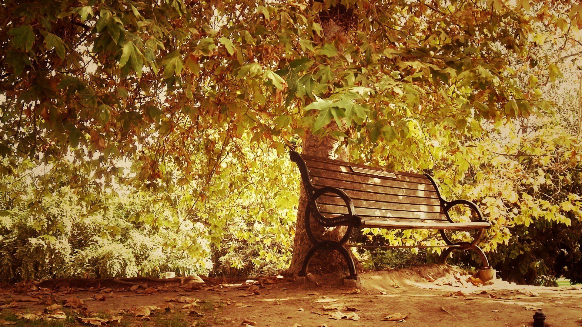 В парке старинном деревья. Шишкин скамейка в аллее. Пейзаж со скамейкой. Осенний парк. Осень парк скамейка.