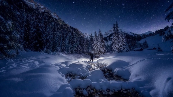 Зимний лес ночью природа