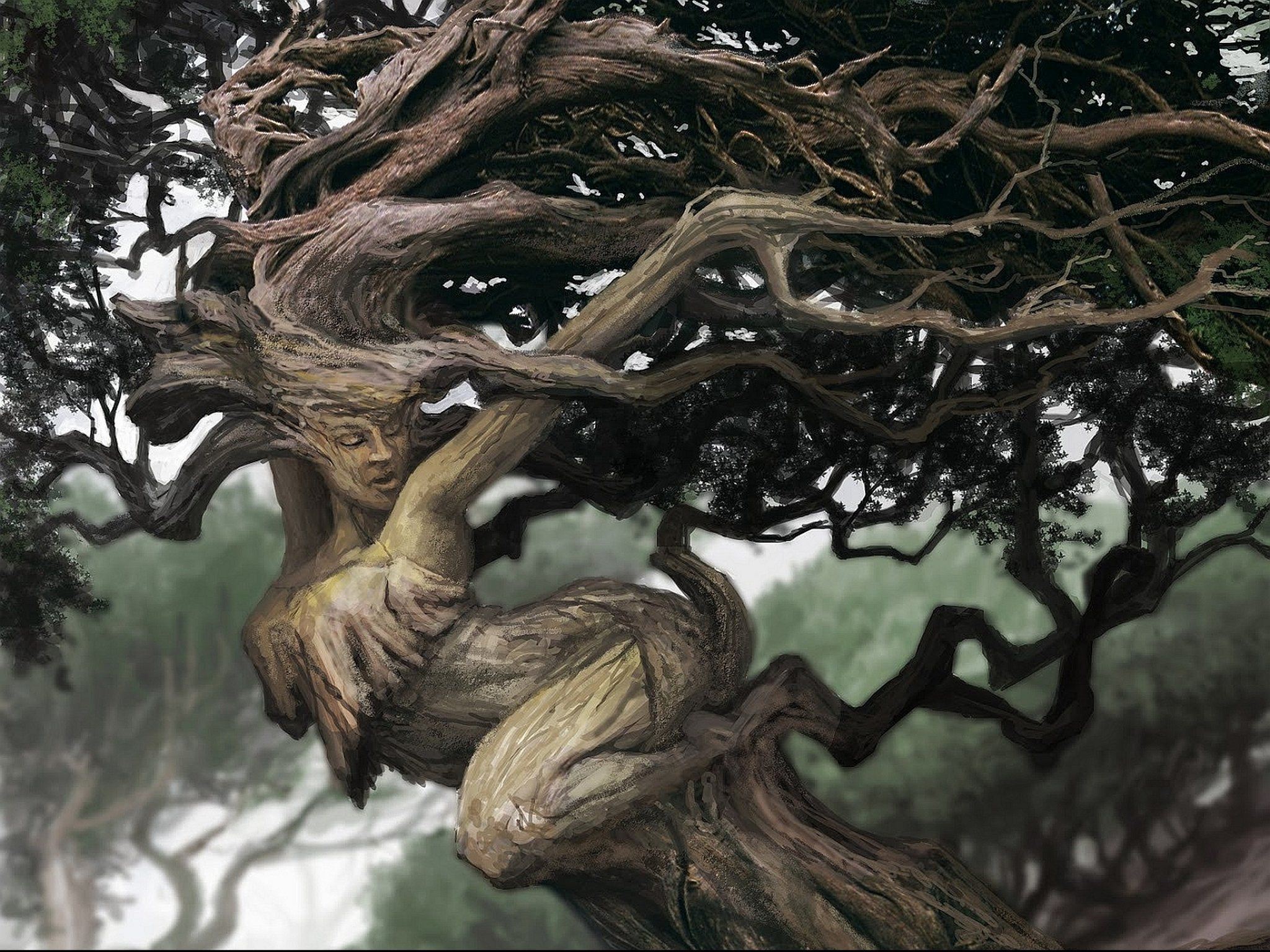 Дуб живое существо. Милорн дерево. Сильван Лесной дух. Дерево Магик Форест.