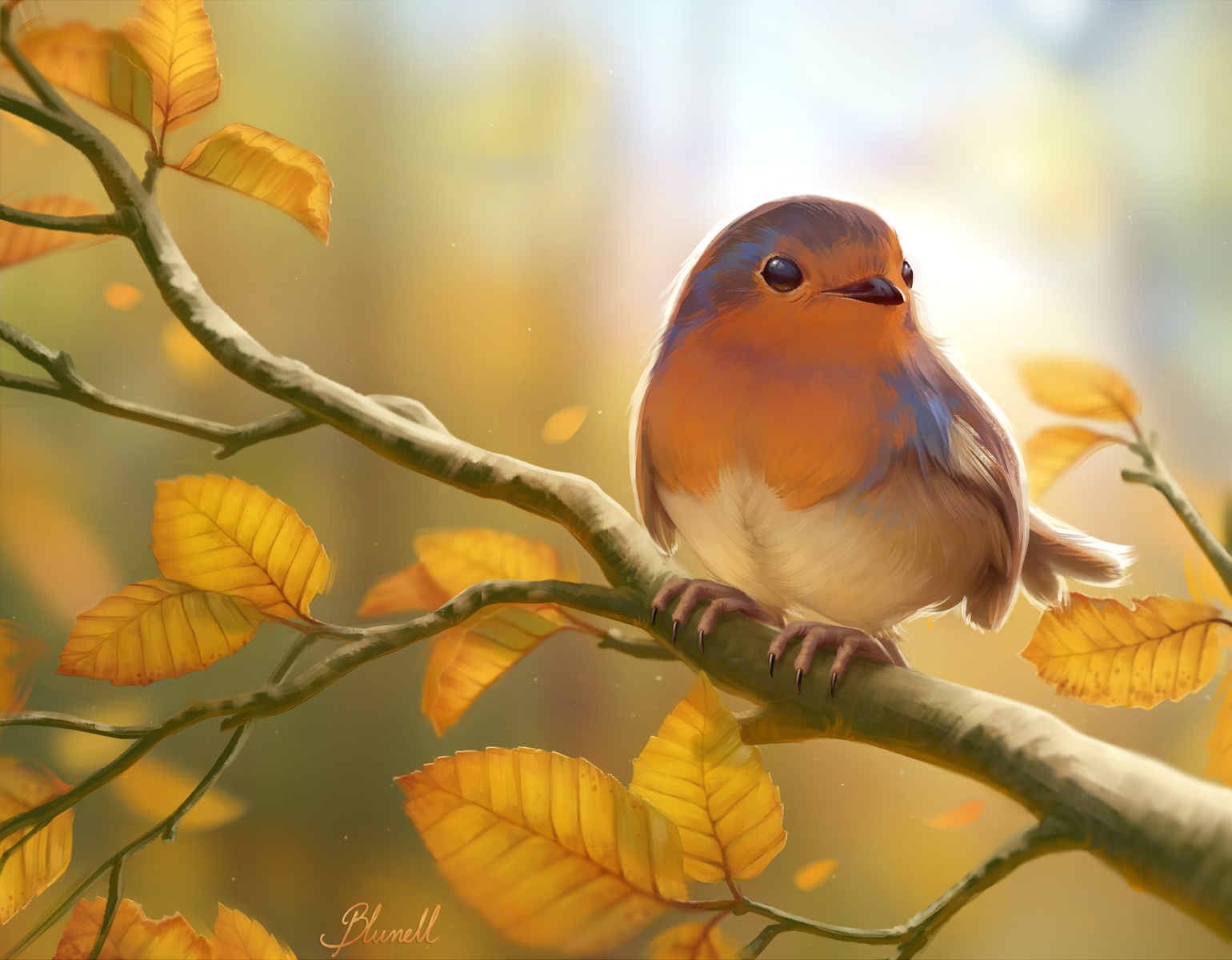 Autumn birds. Лесная птичка Зарянка. Птица на ветке. Птицы осенью. Красивые птицы на ветке.