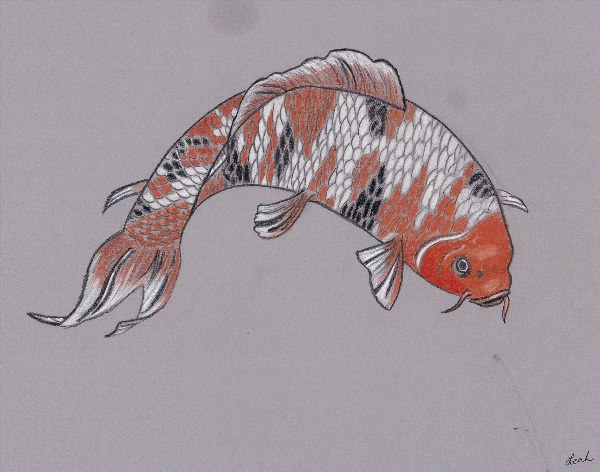 Японские рыбы рисунок