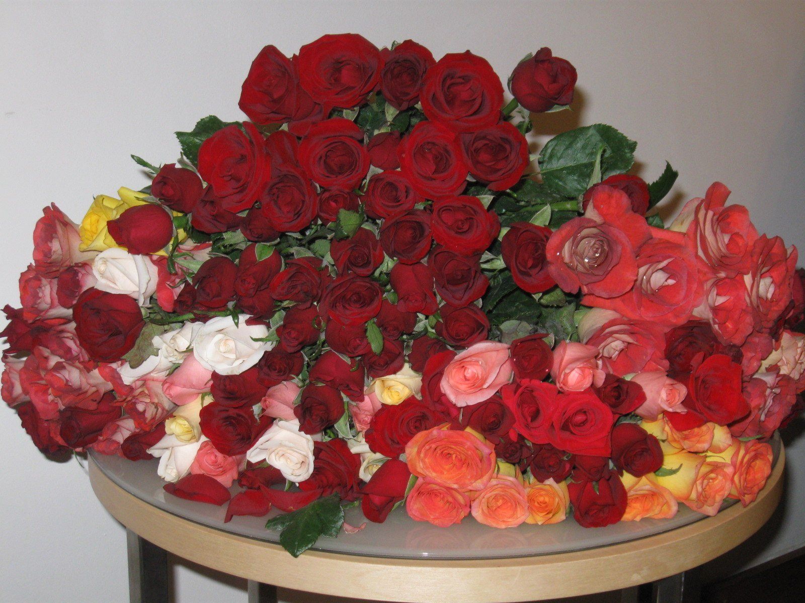 1415 роз. Красивые большие букеты. Огромный букет цветов. Шикарный букет роз. Красивые букеты роз большие.