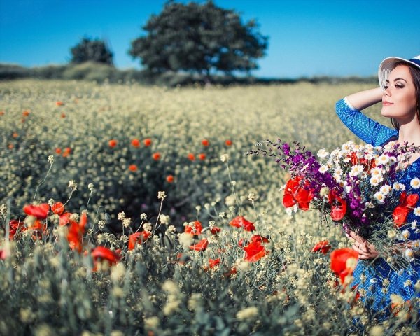 Фон поле с цветами