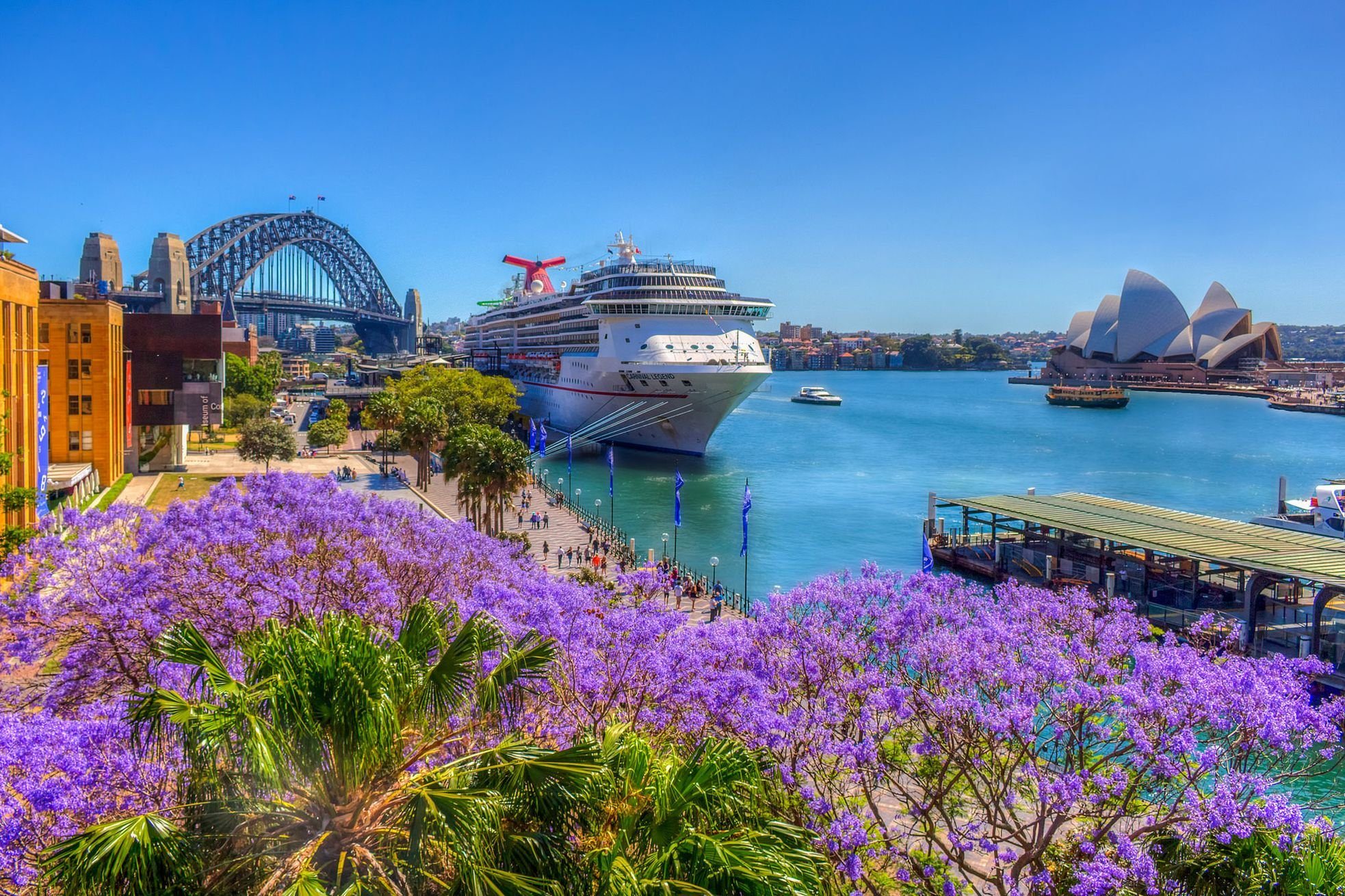 Австр. Сидней Австралия. Сиднейская гавань. Сидней Австралия лето. Австралийский Союз Сидней.