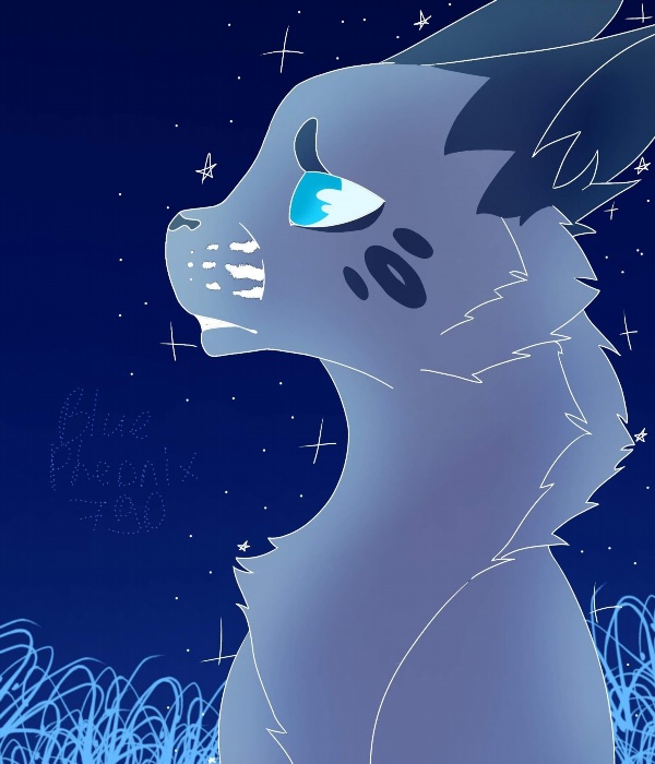 Синяя звезда коты воители арт