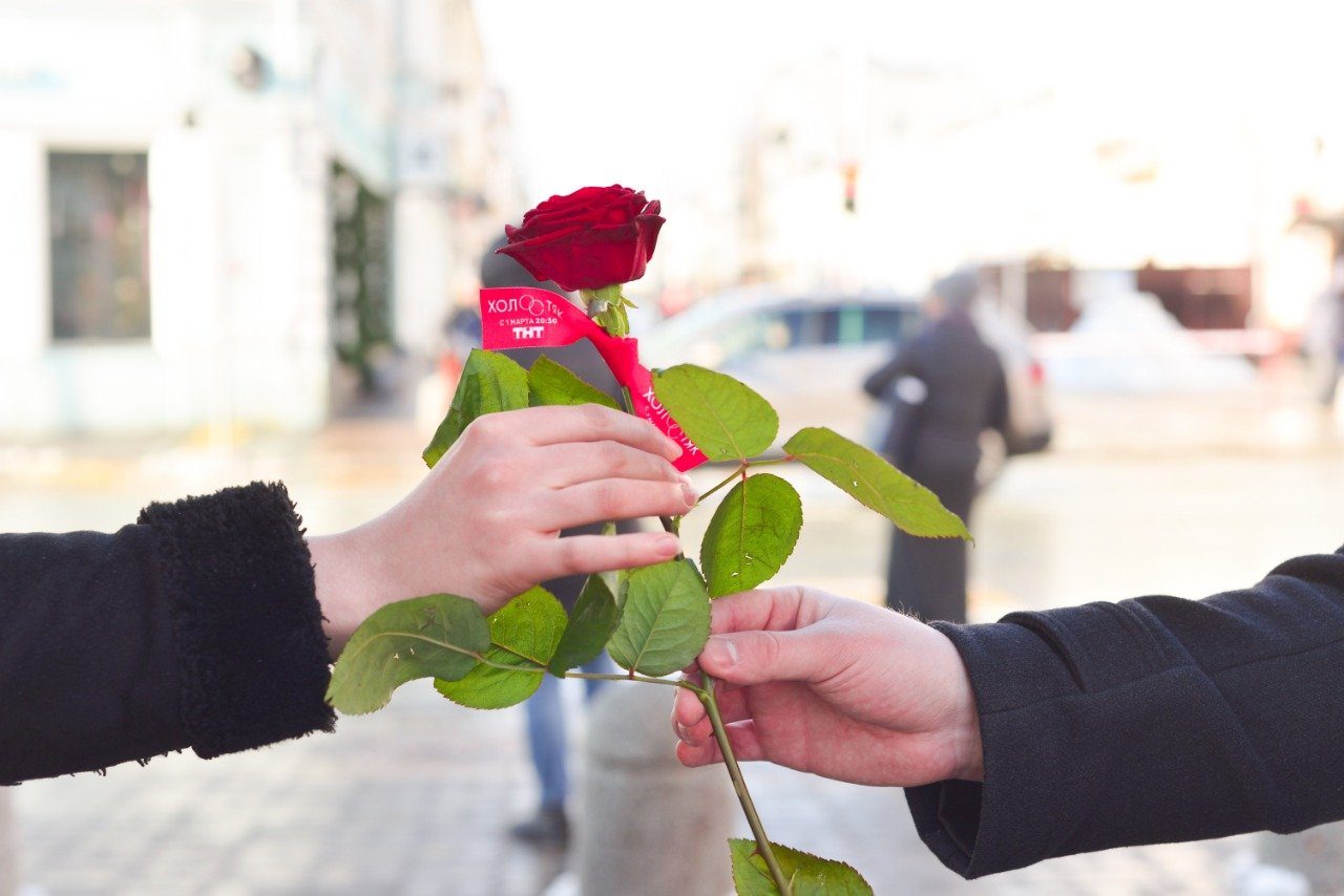 На улице дарят цветы. Дарит цветы. Мужчина дарит цветы девушке. Девушка с розой в руках. Цветок на руку..