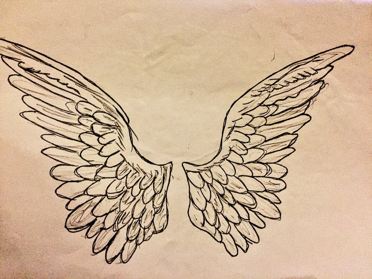 Символ два крыла. Крылья. Крылья рисунок. Крылья рисунок карандашом. Рисунки для срисовки Крылья.