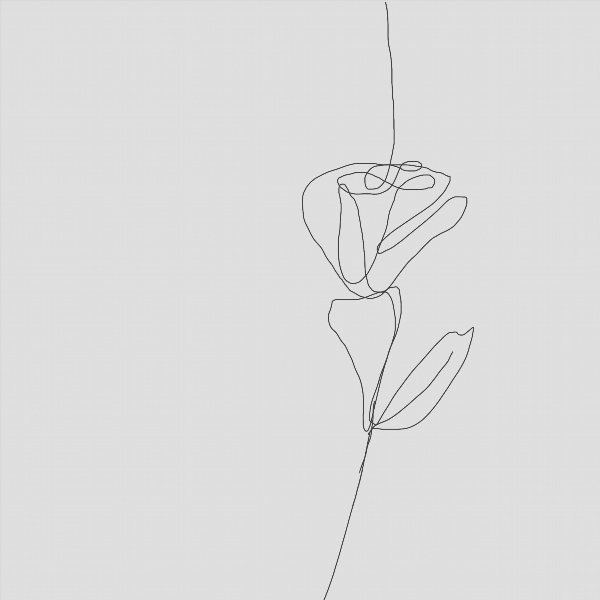 Рисунки одной линией цветы