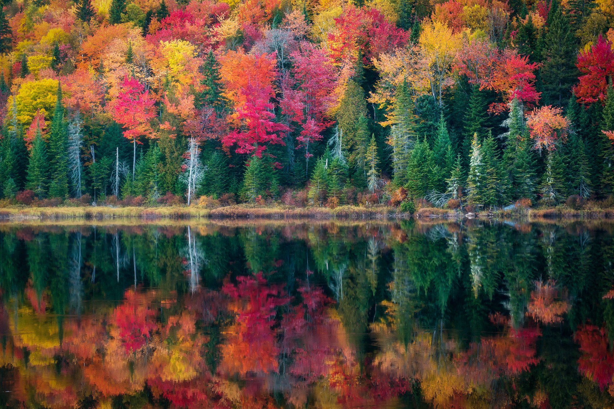 Вот и пришла разноцветная осень. La Maurice National Park. Осенние краски природы. Разноцветная осень. Осень в Канаде.