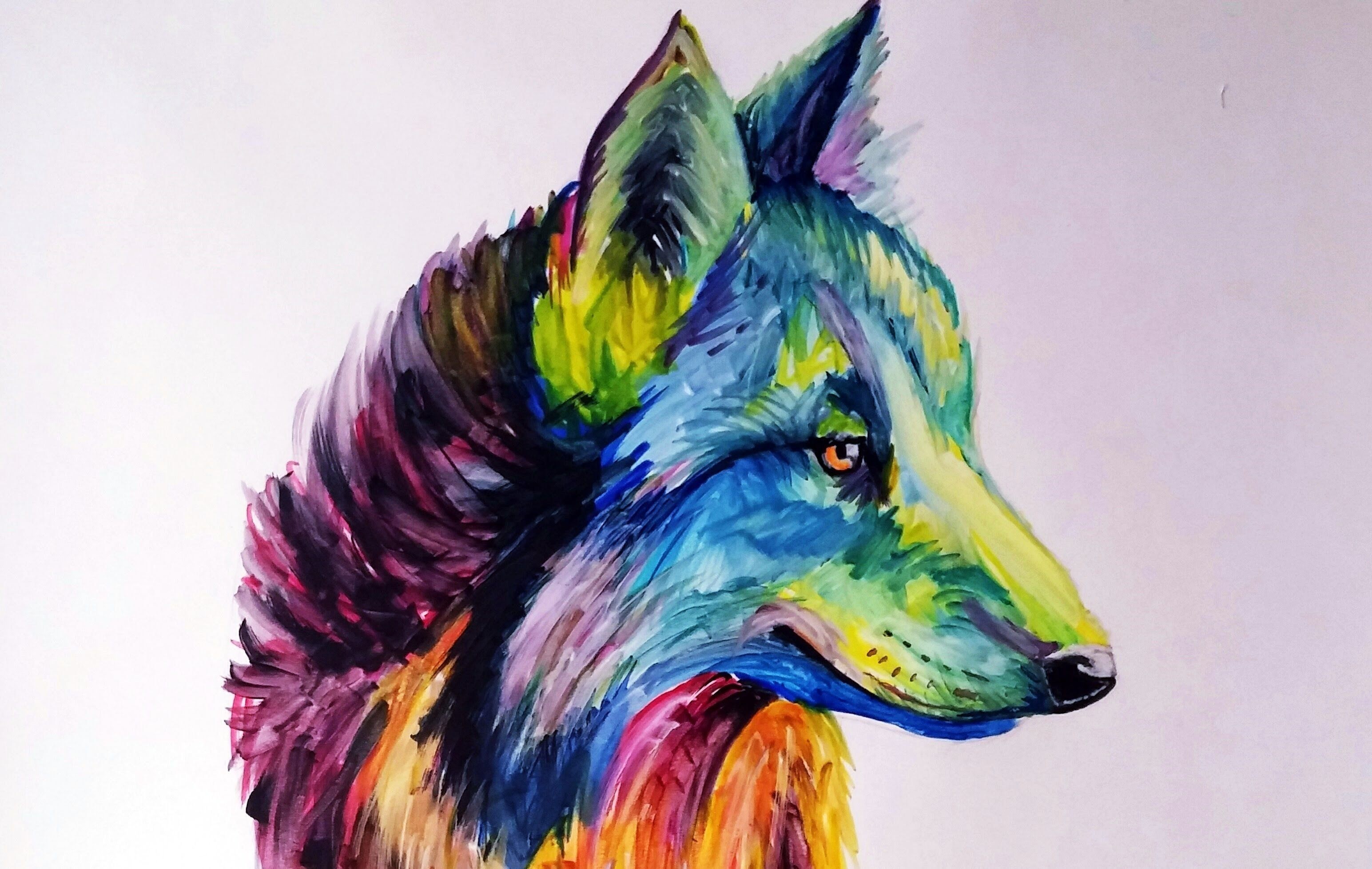 Волк рисунок красками. Рисунки цветные. Крутые рисунки. Разноцветный волк.