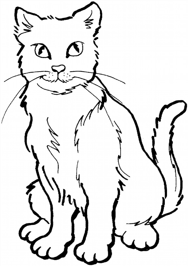 Кот рисунок раскраска