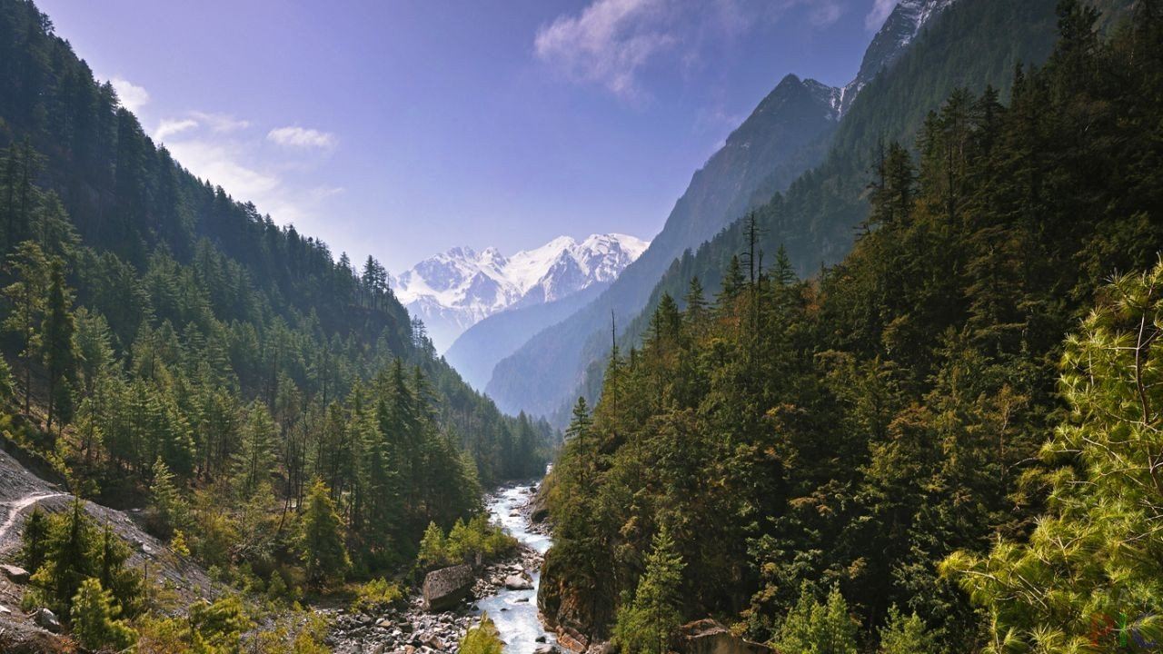 Предгорья гималаев. Леса Гималаев. Непал Гималаи. Горные реки в Гималаях. Гималаи природа.