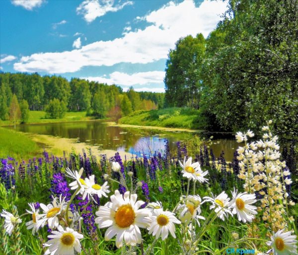 Красивые летние пейзажи россии