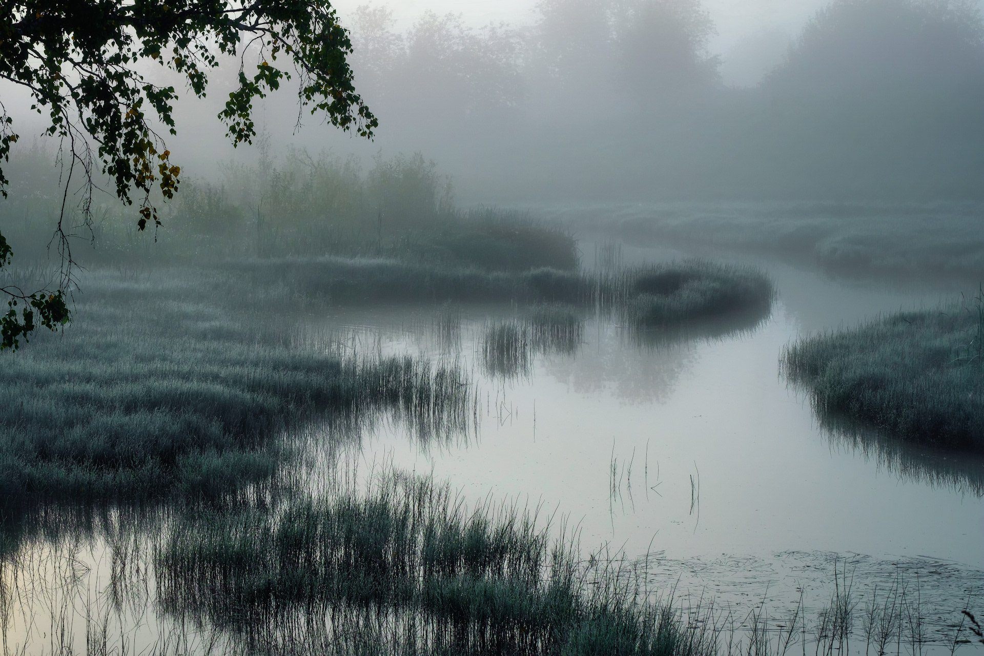 Бежит река в тумане слушать. Туман на реке. Туманное озеро. Туман над рекой. Речка в тумане.