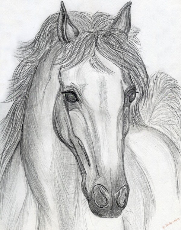 Нарисованные лошади