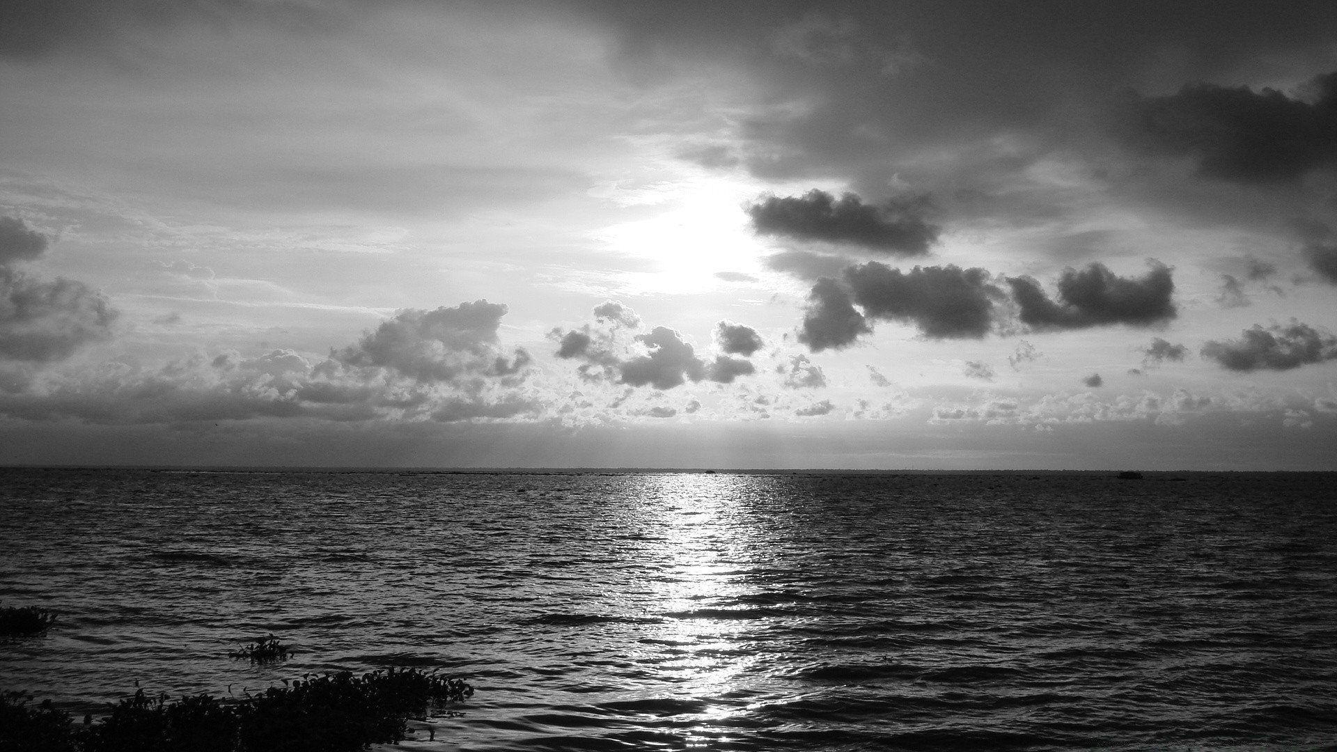 фото моря черно белое