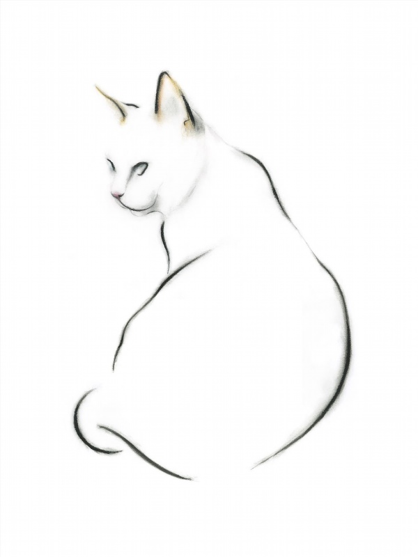 Кошка в профиль рисунок