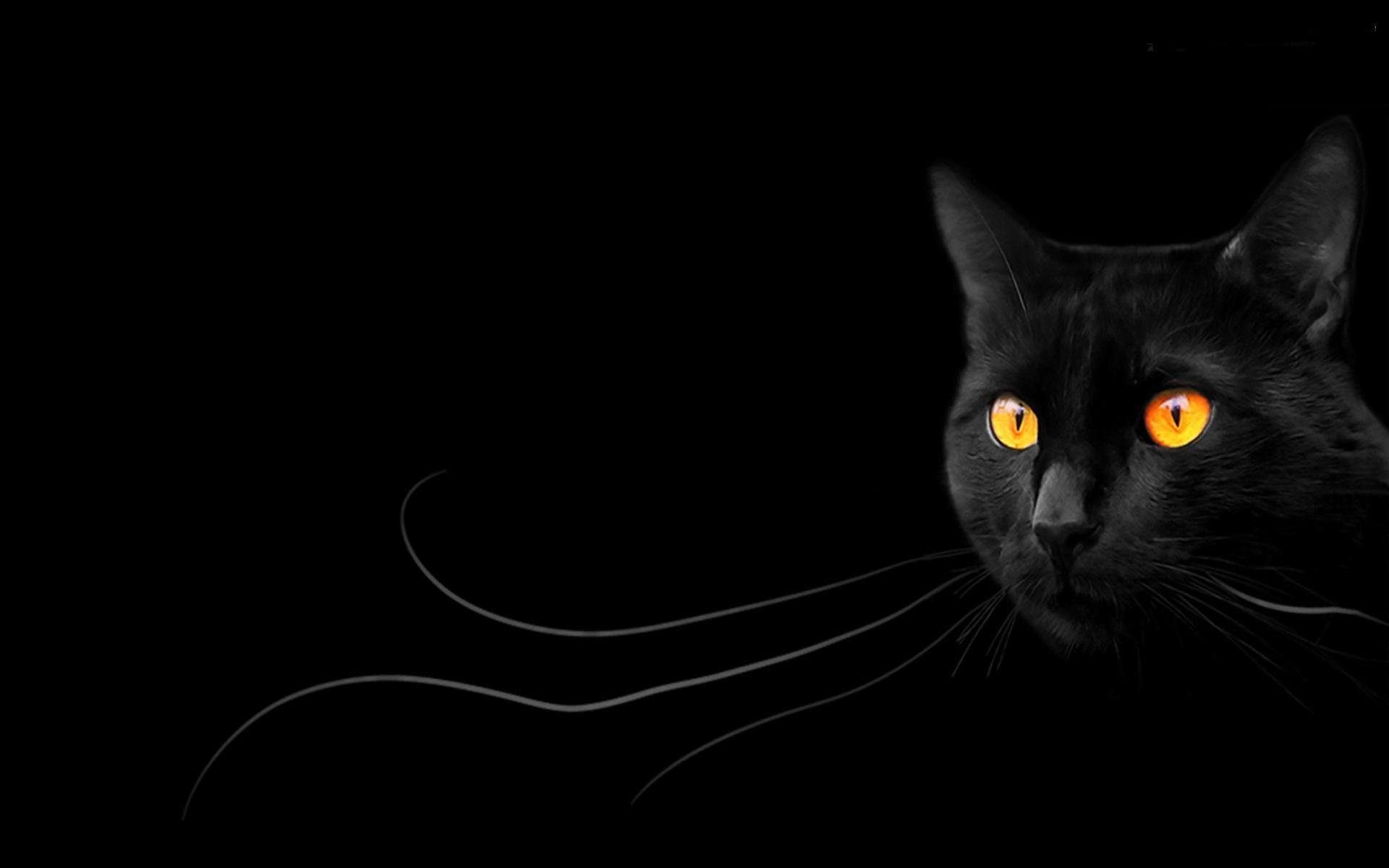 Черные какая. Чёрный кот. Черные обои. Красивый черный цвет. Картинки на черном фоне.