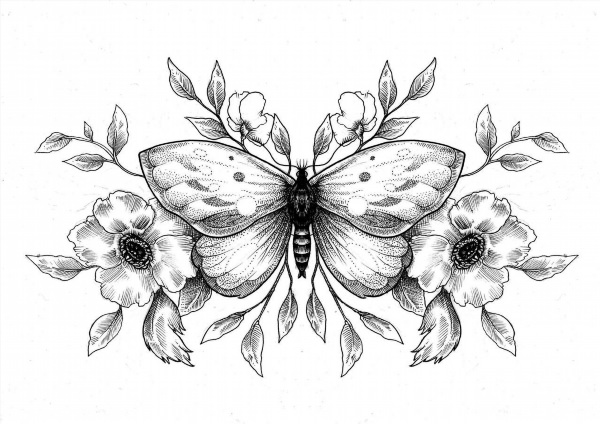 Рисунки для срисовки цветы бабочки