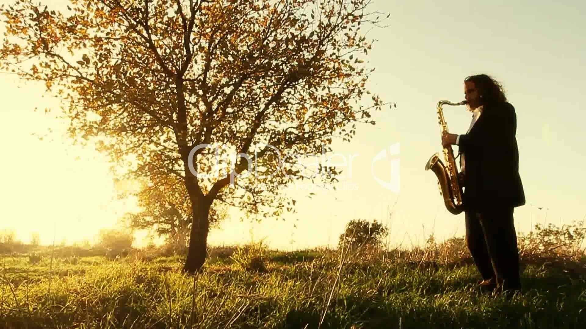 Саксофонист в осеннем саду. Музыканты на природе. Осень джаз. Саксофонист на природе.