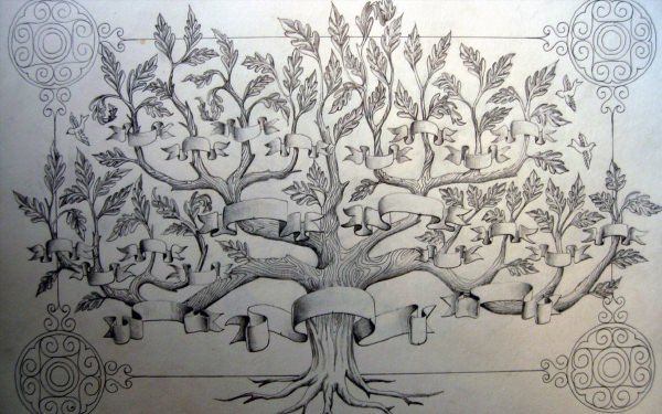 Дерево родословная рисунок