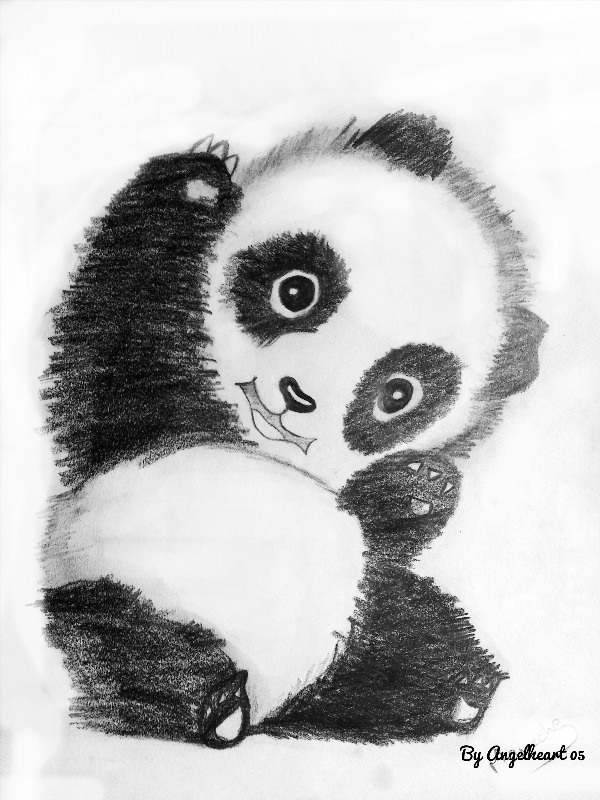 Рисунки карандашом животные панда