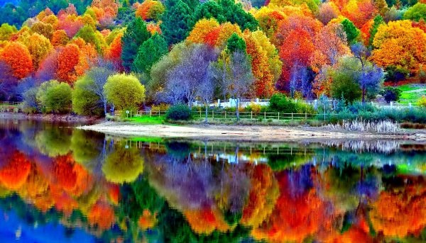 Яркие краски осени