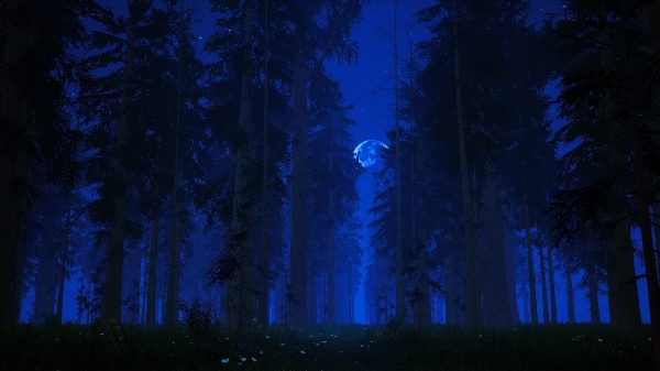 Фон леса ночью