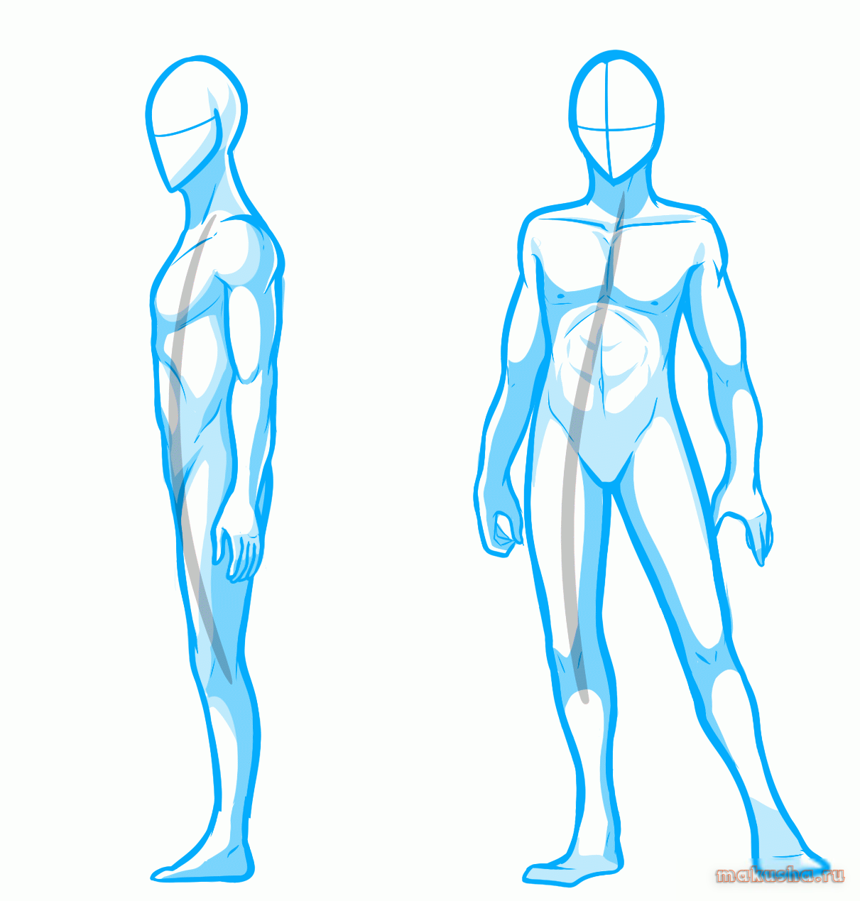 Референс человека. Человек в полный рост референс анатомия. Тело рисунок. Нарисовать тело человека. Аниме тело.