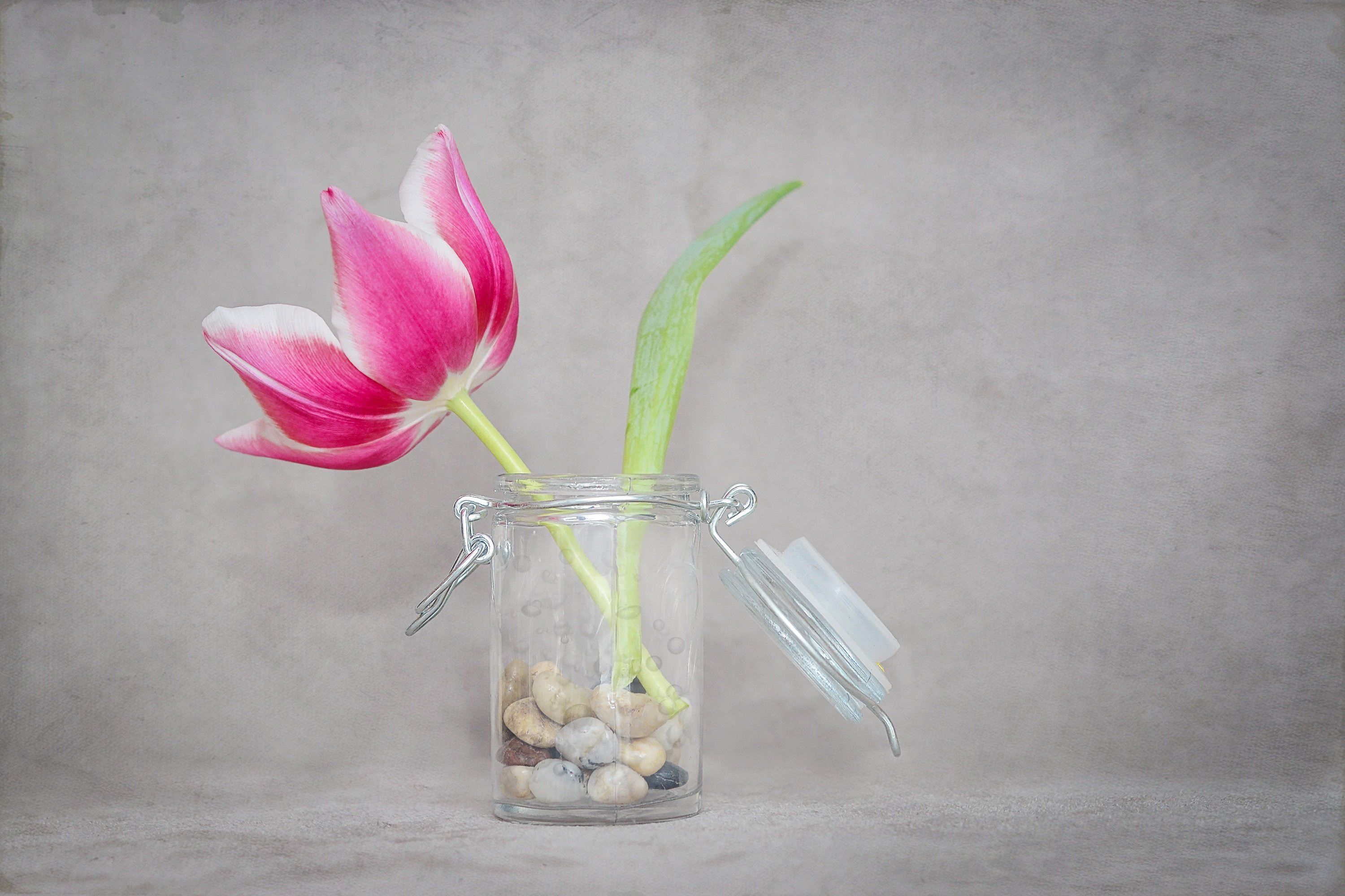 Как часто менять воду тюльпанам в вазе. Тюльпаны в стеклянной вазе. Тюльпаны в вазе. Бокал тюльпан. Тюльпаны в стакане.