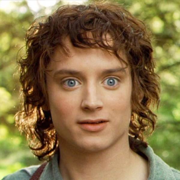 Фродо актер