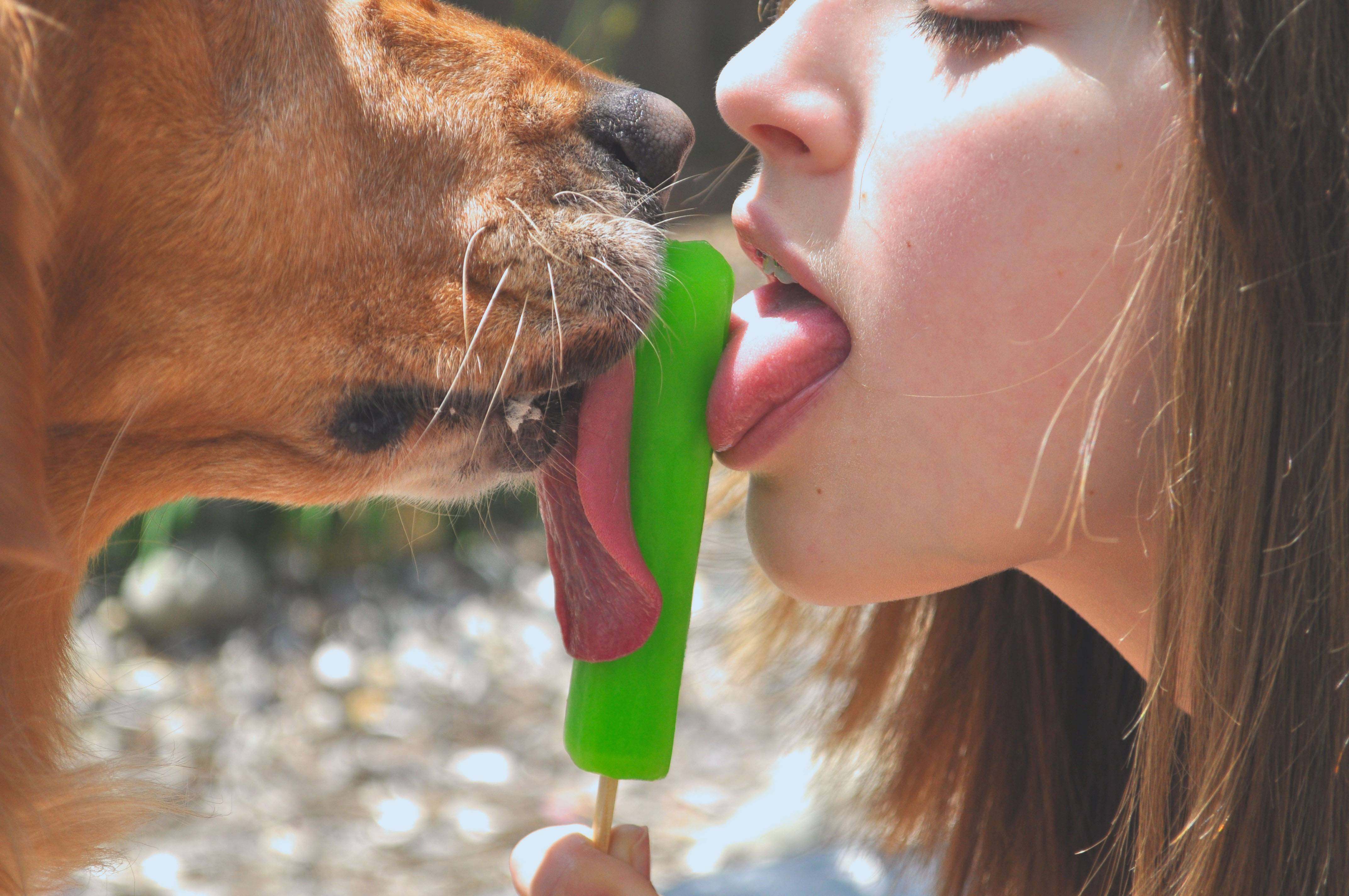 Зоо муж с собакой. Поцелуй с собакой. Французский поцелуй девушки с собаками. Собака облизывает девочку. Поцелуй с собакой с языком.